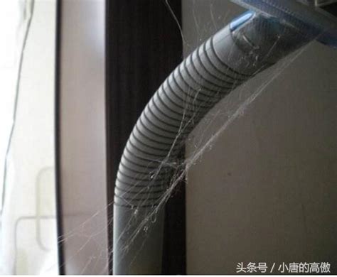 房間蜘蛛網